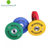 Tạ đĩa ROGUE/FITNESS nhiều màu