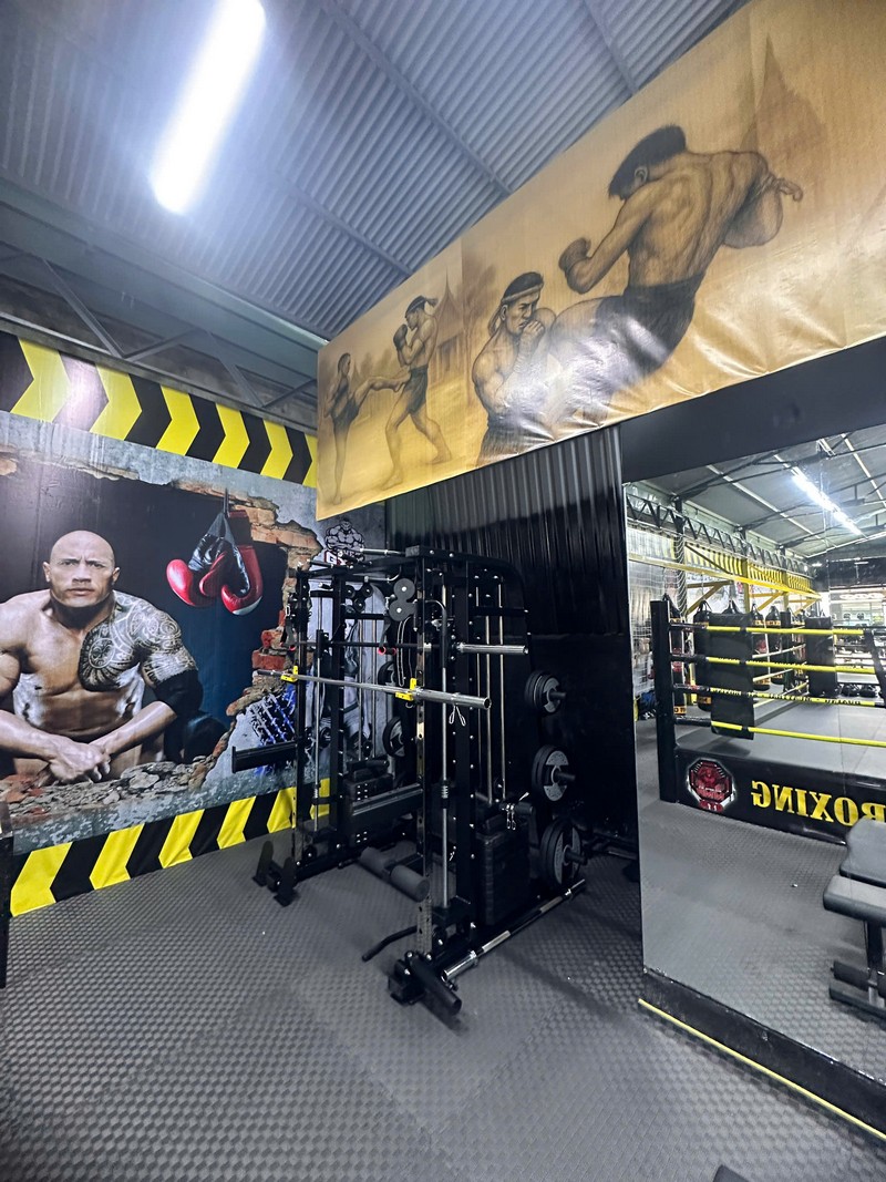 Giàn tạ đa năng DHFN10in1DL