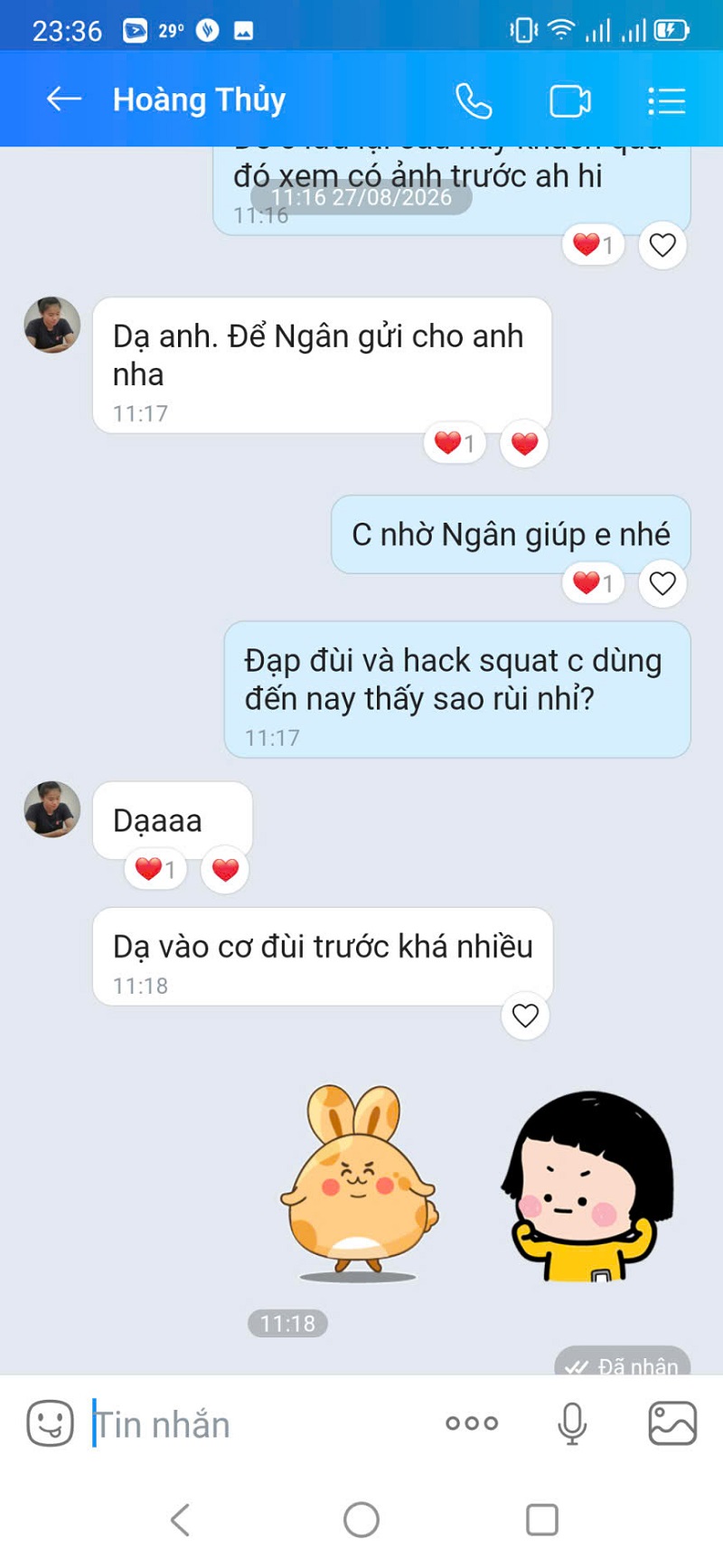 máy hack squat 2in1 DHFN phản hồi