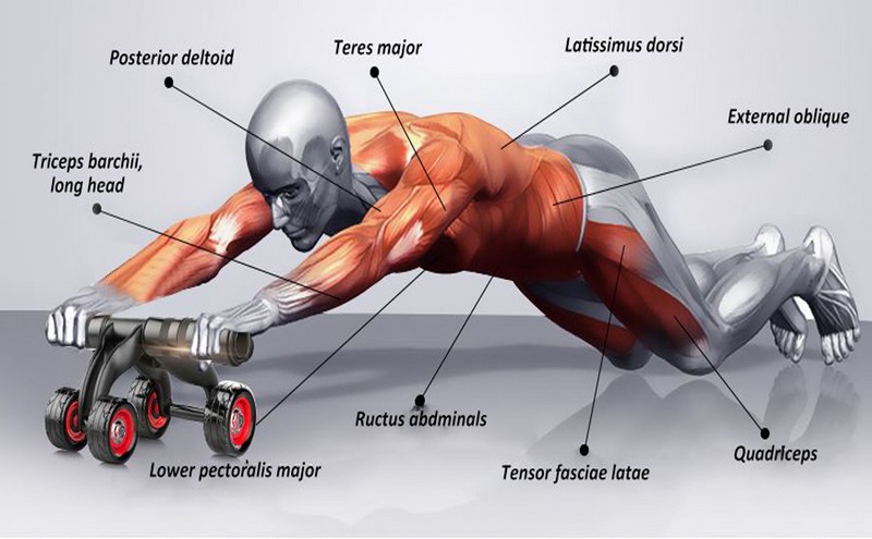 Người tập sử dụng bánh xe tập cơ bụng
